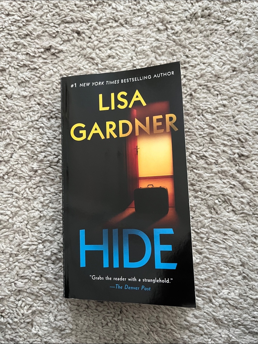 Lisa Gardner HIDE Paperback Thriller - Black & Blue Cover
